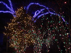 011 Toledo Zoo Light Show [2008 Dec 27]